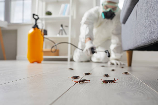 Commercial Kitchen Cockroach Control in Marks